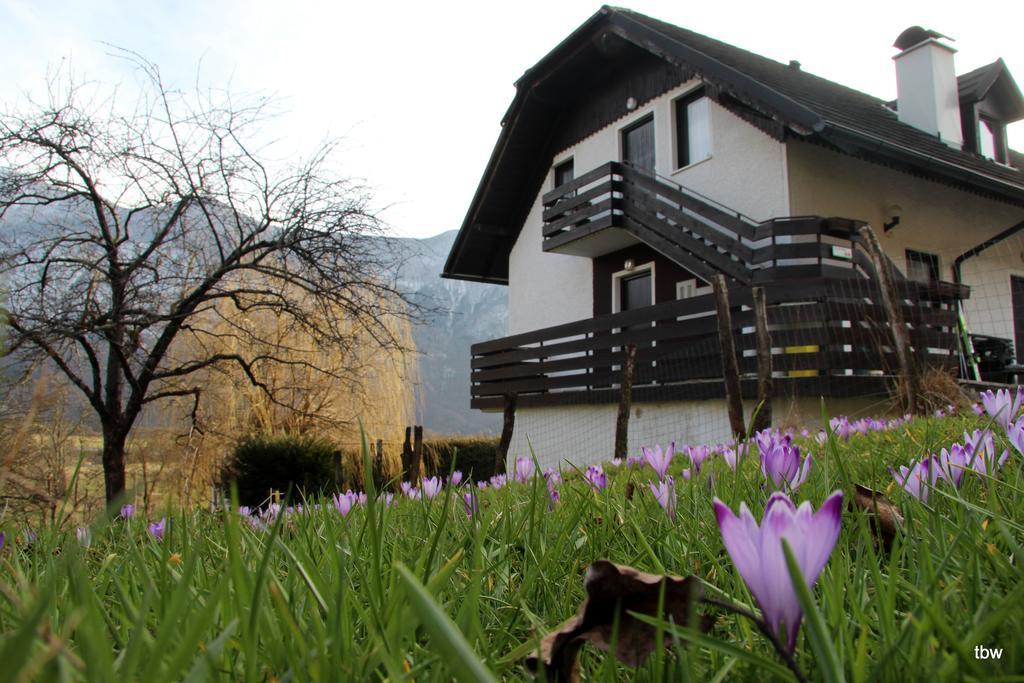 Apartments Tatjana Bovec Exterior photo