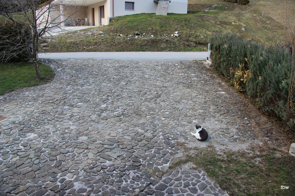Apartments Tatjana Bovec Exterior photo